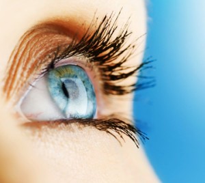 shutterstock_53394478-300x268